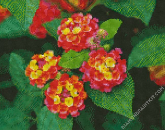 Lantana Flowers diamond painting