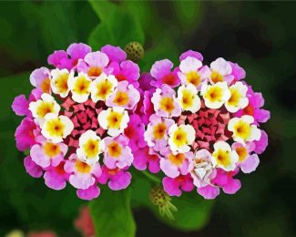 Lantanas Flowers diamond painting