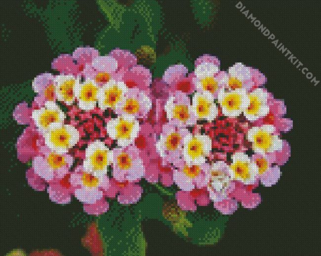 Lantanas Flowers diamond painting