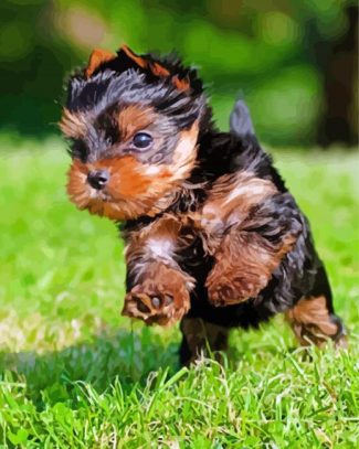 Little Yorkshire Terrier Running diamond painting