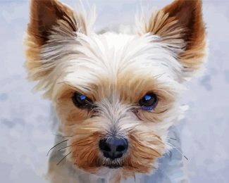 Mad Yorkie diamond painting