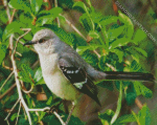 Mockingbird Bird diamond painting