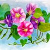 Morning Glory diamond painting