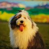 Old English Sheepdog diamond painting