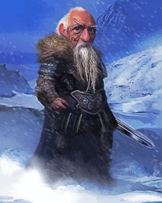 Old Guardian Gnome diamond painting