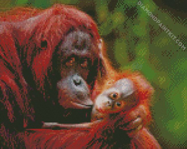 Orange Orangutan diamond painting