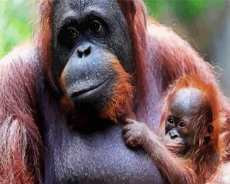 Orangutan And Baby Monkey diamond painting