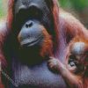 Orangutan And Baby Monkey diamond painting