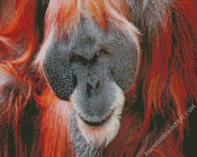 Orangutan Monkey diamond painting