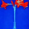 Piet Mondrian Amaryllis diamond painting