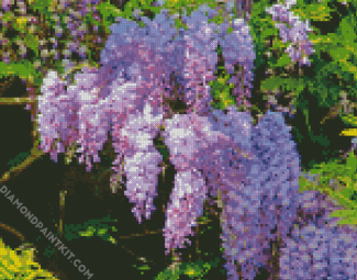 Purple Flowers Wisteria diamond painting