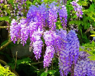 Purple Flowers Wisteria diamond painting