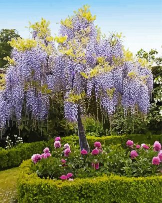 Purple Wisteria Tree diamond painting