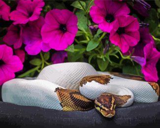 Python Snake And Petunia Flowers diamond painting