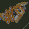 Python Snake diamond painting