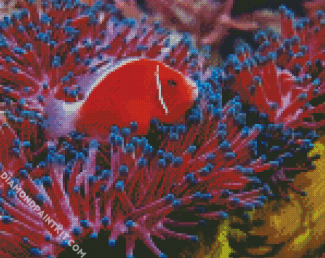 Red Fish Between Anemones diamond painting