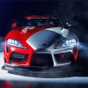 Red And Grey Supra diamond painting