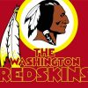 Redskins Logo diamond painting