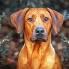 Rhodesian Ridgeback diamond painting