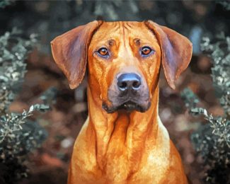 Rhodesian Ridgeback diamond painting