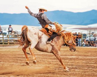 Rodeo Illustration diamond painting