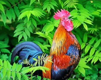 Rooster Bird Animal diamond painting