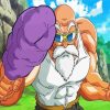 Roshi Dragon Ball diamond painting