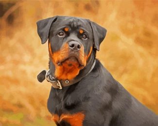 Rottweiler Dog Animal diamond painting