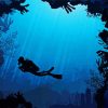 Scuba Diver Silhouette diamond painting