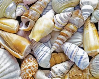 Seashell diamond painting