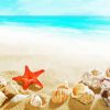 Seashells Starfish Summer diamond painting