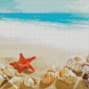 Seashells Starfish Summer diamond painting