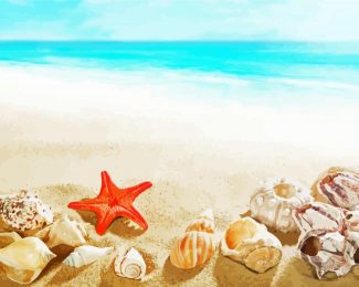 Seashells Starfish Summer diamond painting