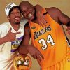 Shanquille O Neal And Kobe diamond painting