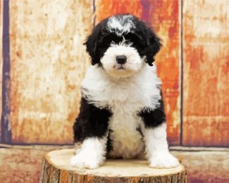 Sheepadoodle Dog Puppy diamond painting