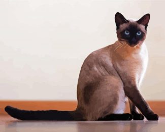 Siamese Cat Animal diamond painting