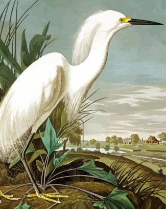 Snowy Heron Audubon diamond painting