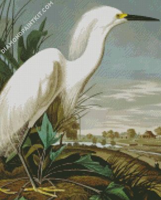 Snowy Heron Audubon diamond painting