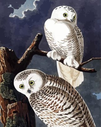 Snowy Owl Audubon diamond painting