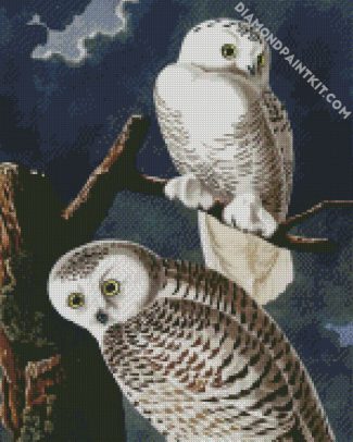 Snowy Owl Audubon diamond painting