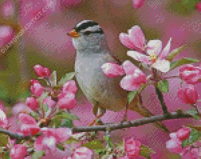 Sparrow Bird And Pink Flowers diamond painting