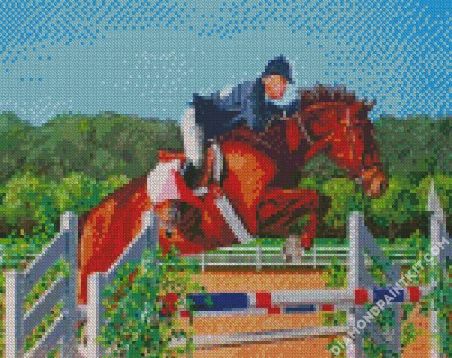 Steeplechase Horse Race Diamond painting