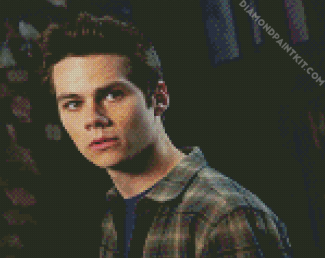 Stiles diamond painting