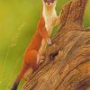 Stoat Weasel Animal diamond painting