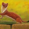 Stoat Weasel diamond painting