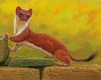 Stoat Weasel diamond painting