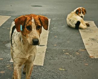 Street Dog diamond painting