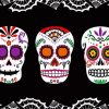 Sugar Skulls diamond painting