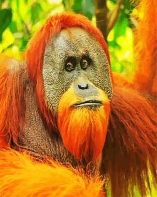 Sumatran Orangutan diamond painting