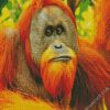 Sumatran Orangutan diamond painting